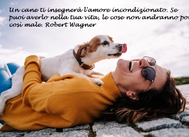 giornata mondiale del cane immagini con frasi, giornata mondiale del cane immagini, giornata mondiale del cane frasi