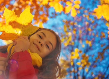 Aforismi sull'autunno