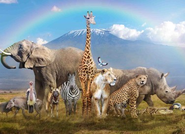Giornata mondiale degli animali