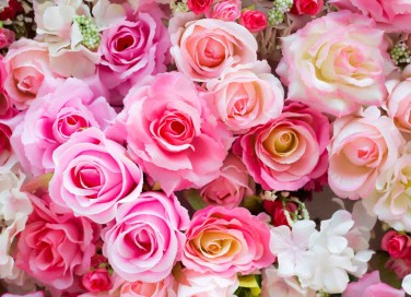 mazzo di rose