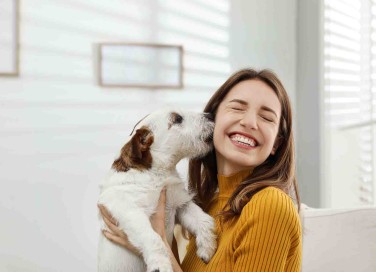 frasi sull'amore per i cani