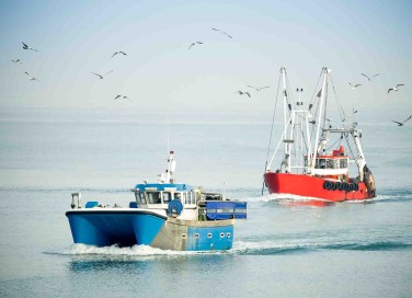 pesca sostenibile