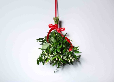 vischio