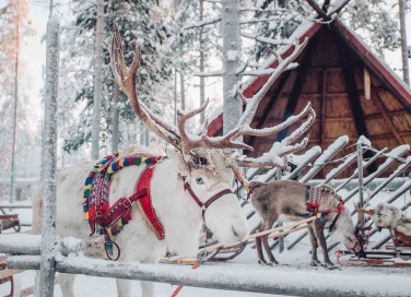 casa di Babbo Natale a Rovaniemi