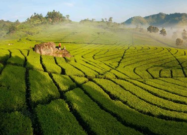 risorse naturali