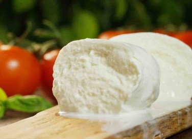 mozzarella di bufala