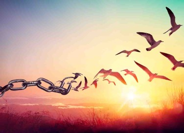 Frasi sulla libertà