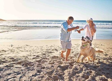 Spiagge per cani