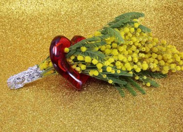 auguri per la Festa della donna