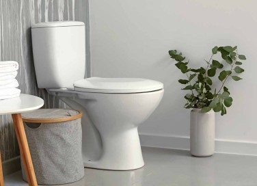 Come pulire a fondo il wc