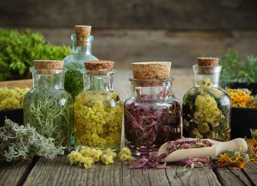 piante officinali