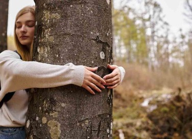adottare un albero