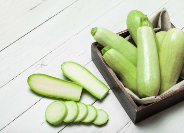 zucchine ai cani
