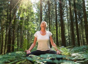 Forest bathing