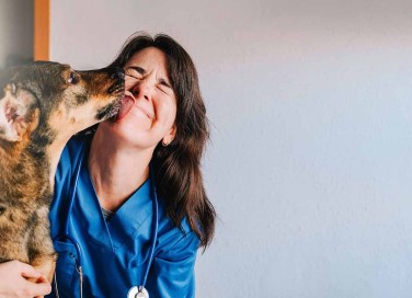 Giornata Mondiale del cane