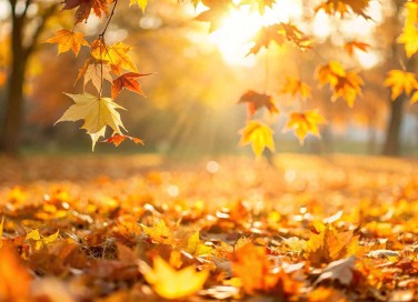 frasi sull'autunno