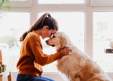 dog therapy