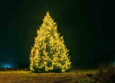 albero di Natale