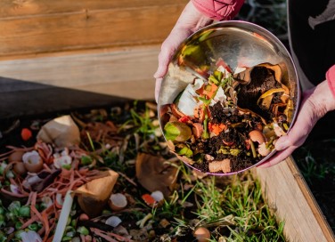 compost