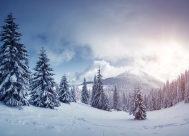 giornata mondiale neve frasi, giornata mondiale neve, frasi neve