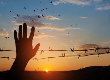 frasi shoah, frasi giorno della memoria