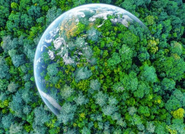 pianeta Terra