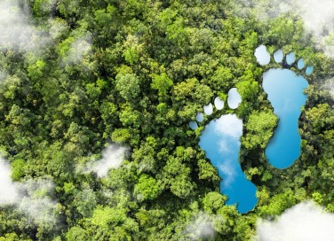 impronta ecologica