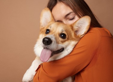dimostrare amore ai cani
