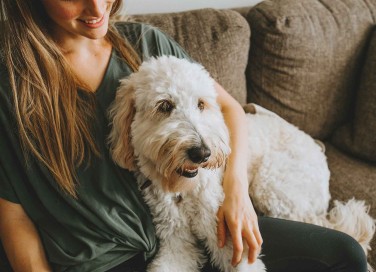 Come si diventa pet sitter