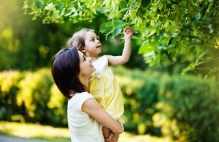 natale inverno fantasia addobbi albero decorazioni