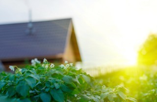 cinema ecosistema manuale guida film eco-sostenibile ambiente  