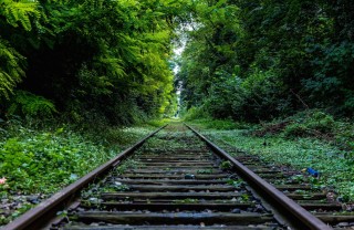 gite, giornata, primavera oasi parchi fuori porta