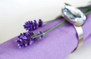 lavanda pietra cotto cucina country