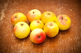 coltivare albero melo in giardino