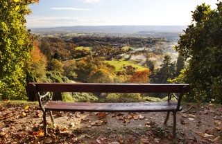 parco verde natura