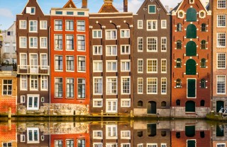 Olanda, Amsterdam, tulipani, arte