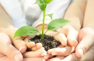 giornata della terra-ecologia-ambiente-pianta-crescita-mani