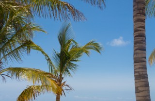 Kenya Watamu parchi Africa villaggi turistici