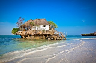Zanzibar capodanno relax isolea reef oceanico balene tartarughe Zanzibar capodanno relax isolea reef oceanico balene tartarughe