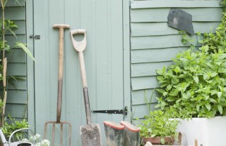 hobby fai da te casetta verde giardinaggio attrezzi ripostiglio giardino natura piante ecologia hobby fai da te casetta verde giardinaggio attrezzi ripostiglio giardino natura piante ecologia
