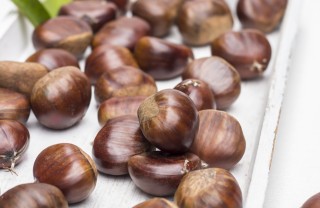 castagne decorazione castagne decorazione