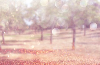 glitter brillantini fotografia glitter brillantini fotografia