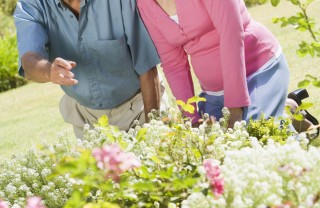 sesso dopo i 50 anni, amore e sessualità dopo i 50 anni