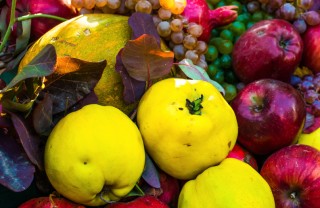 frutta fresca stagione consigli proprietà qualità