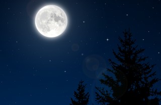 capelli parrucchiere estetista peli luna capelli parrucchiere estetista peli luna