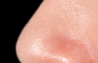 naso, viso, olfatto, sensi, lineamenti, odorato sogno