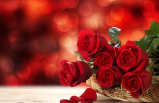 rosa fiore sogno interpretazione