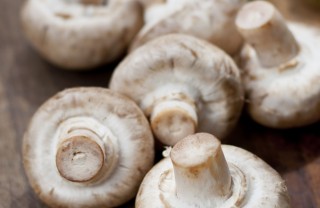 funghi consigli conservazione raccolta coltivazione casa autunno