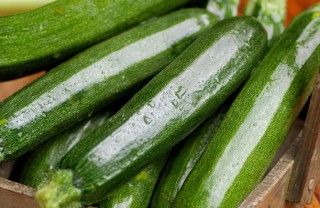 zucchine cucina estate verdura ortaggio zucchine cucina estate verdura ortaggio