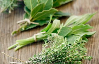 erbe spezie utilizzo consigli cucina erbe spezie utilizzo consigli cucina